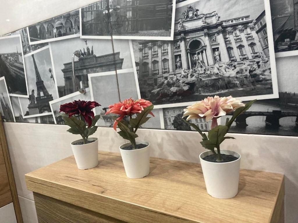 Apartament Tuz Za Rogiem Zamku マルボルク エクステリア 写真